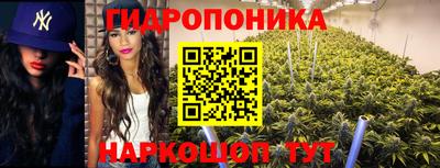 гидра Кандалакша