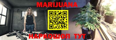 гидра Кандалакша