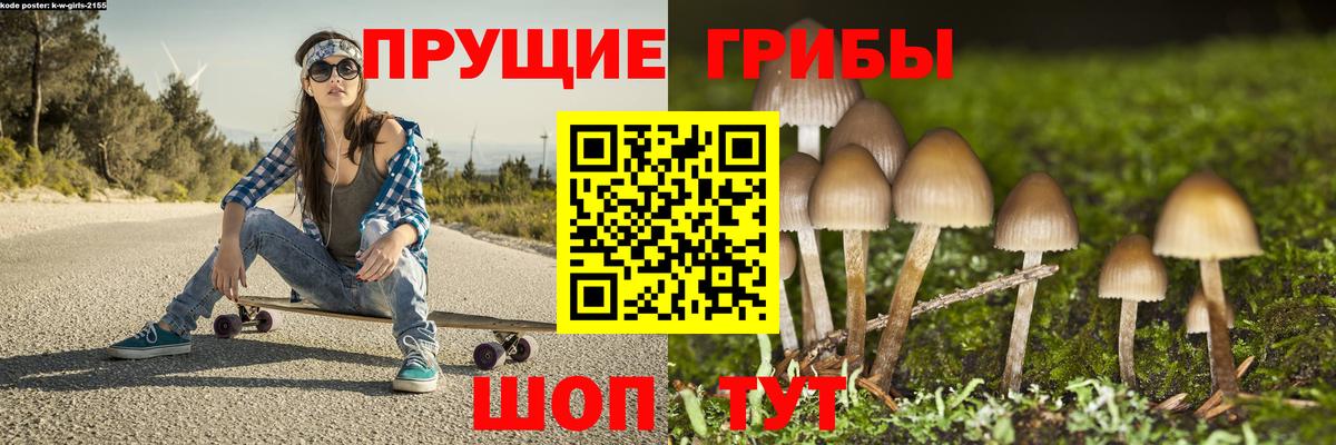 Соликамск  Псилоцибиновые грибы ЛСД  Вход с VPN  Галлюциногенные грибы мицелий 